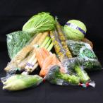 新鮮 季節の野菜 おまかせ 詰め合わせセット