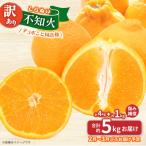 九州 福岡フルーツ王国八女 ワケあり 不知火