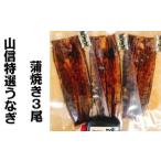 ふるさと納税  特選うなぎの蒲焼き　３尾 ≪ヤマシン≫ ※ 冷凍 ※ 高知県田野町