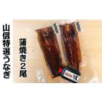 ふるさと納税 特選うなぎの蒲焼き ２尾 ≪ヤマシン≫ ※ 冷凍 ※  高知県田野町