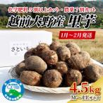越前大野産 里芋 4.5kg