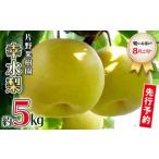 ふるさと納税 幸水梨 約5kg 8月上旬発送 梨 梨 梨 梨 梨 梨 梨 茨城県八千代町