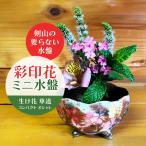 花器 彩印花ミニ水盤 生け花 コンパクト