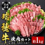 焼肉 セット 約1kg