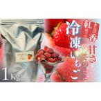 ふるさと納税 【先行予約_2026年発送】地元JA品評会金賞受賞 冷凍いちご1kg 紅ほっぺ きらぴ香 【 フローズン ストロベリー スムージー 苺 い.. 静岡県南伊豆町