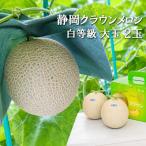メロン クラウン 並 大玉 2玉入り