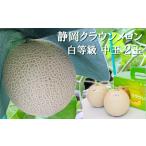 クラウンメロン マスクメロン 並 白等級 中玉