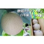 クラウンメロン マスクメロン 並 白等級 中玉