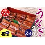 うなぎの蒲焼 2尾
