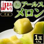 訳あり アールスメロン 1玉