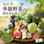 季節野菜の詰め合わせセット 旬野菜 野菜