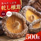 乾燥椎茸 訳あり 耶馬溪の訳あり500g