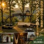 バルンバルンの森キャンプ場 キャンプ コテージ宿泊