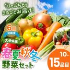 春夏秋冬野菜セット 毎月届く 旬野菜 野菜