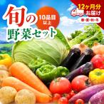 春夏秋冬野菜セット 毎月届く 旬野菜 野菜