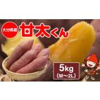 ふるさと納税 【先行予約・期間限定】大分県産 かんしょ 甘太くん 約 5kg M・L・2L | さつまいも さつま芋 サツマイモ 芋 いも 紅はるか べには.. 大分県中津市