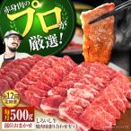 しろいし牛 焼肉用 盛り合わせ セット 希少部位