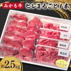 みかも牛 ヒレまるごと1本 約2.5kg