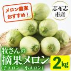志布志産 摘果メロン 子メロン 小メロン 2kg