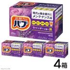 SA3012 花王バブ ラベンダーの香り