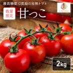 ミニトマト 富良野産 完熟 甘っこ カラートマト付