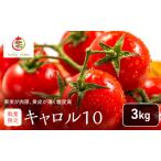ミニトマト 富良野産 完熟 キャロル10