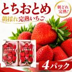いちご とちおとめ 260g