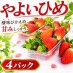 いちご やよいひめ 260g