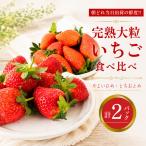 いちご 2種食べ比べ 計 2パック
