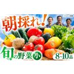 セット 詰合せ 栽培期間中農薬 化学肥料不使用