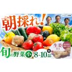 土佐の太陽をいっぱいに浴びた旬の野菜生姜約100gのセット