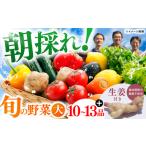 土佐の太陽をいっぱいに浴びた旬の野菜生姜約100gのセット