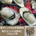 白方かき 電子レンジでお手軽調理 殻付きかき