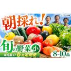 定期便 土佐の太陽をいっぱいに浴びた旬の野菜セット小