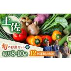 定期便 土佐の太陽をいっぱいに浴びた旬の野菜セット小