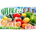 土佐の太陽をいっぱいに浴びた旬の野菜セット