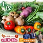 土佐の太陽をいっぱいに浴びた旬の野菜セット