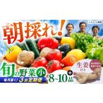 土佐の太陽をいっぱいに浴びた旬の野菜生姜約100gのセット
