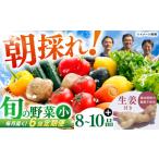 土佐の太陽をいっぱいに浴びた旬の野菜生姜約100gのセット