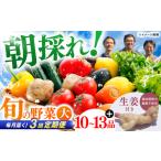 土佐の太陽をいっぱいに浴びた旬の野菜と生姜約100gのセット