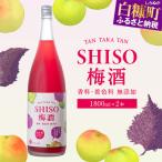 鍛高譚 たんたかたんの梅酒 _I021-0036
