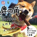 鹿の角 Sサイズ×2本 京都丹後産 ペット犬用おやつ