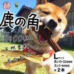 鹿の角 M×2本 ペット用犬のデンタルおもちゃ