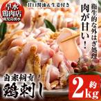 鳥刺し 鶏刺し 自家製鶏 計2kg