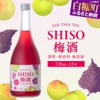 鍛高譚 たんたかたんの梅酒 _I092-0042