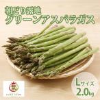 アスパラガス 富良野産 緑 Lサイズ 露地