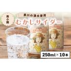 黒川温泉の湧水を使用 むかしサイダー 10本セット 250ml