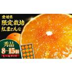 ふるさと納税 紅まどんな（8個-15個）【11月下旬から順次発送】紅まどんな みかん[AGBA001] 愛媛県大洲市