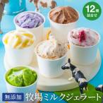狩野牧場 牛飼いのジェラート 6種セット