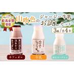 山吹色のジャージー牛乳 3種セット 3種